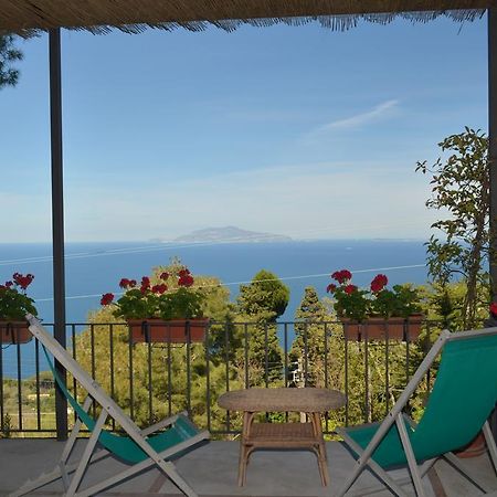 Le Ginestre Di Capri Bb & Holiday House Anacapri  Exterior foto