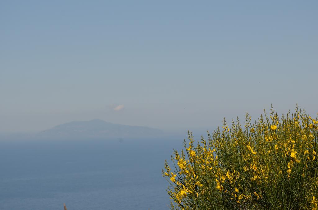 Le Ginestre Di Capri Bb & Holiday House Anacapri  Exterior foto