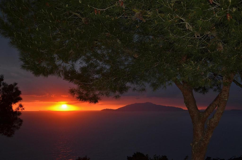 Le Ginestre Di Capri Bb & Holiday House Anacapri  Habitación foto