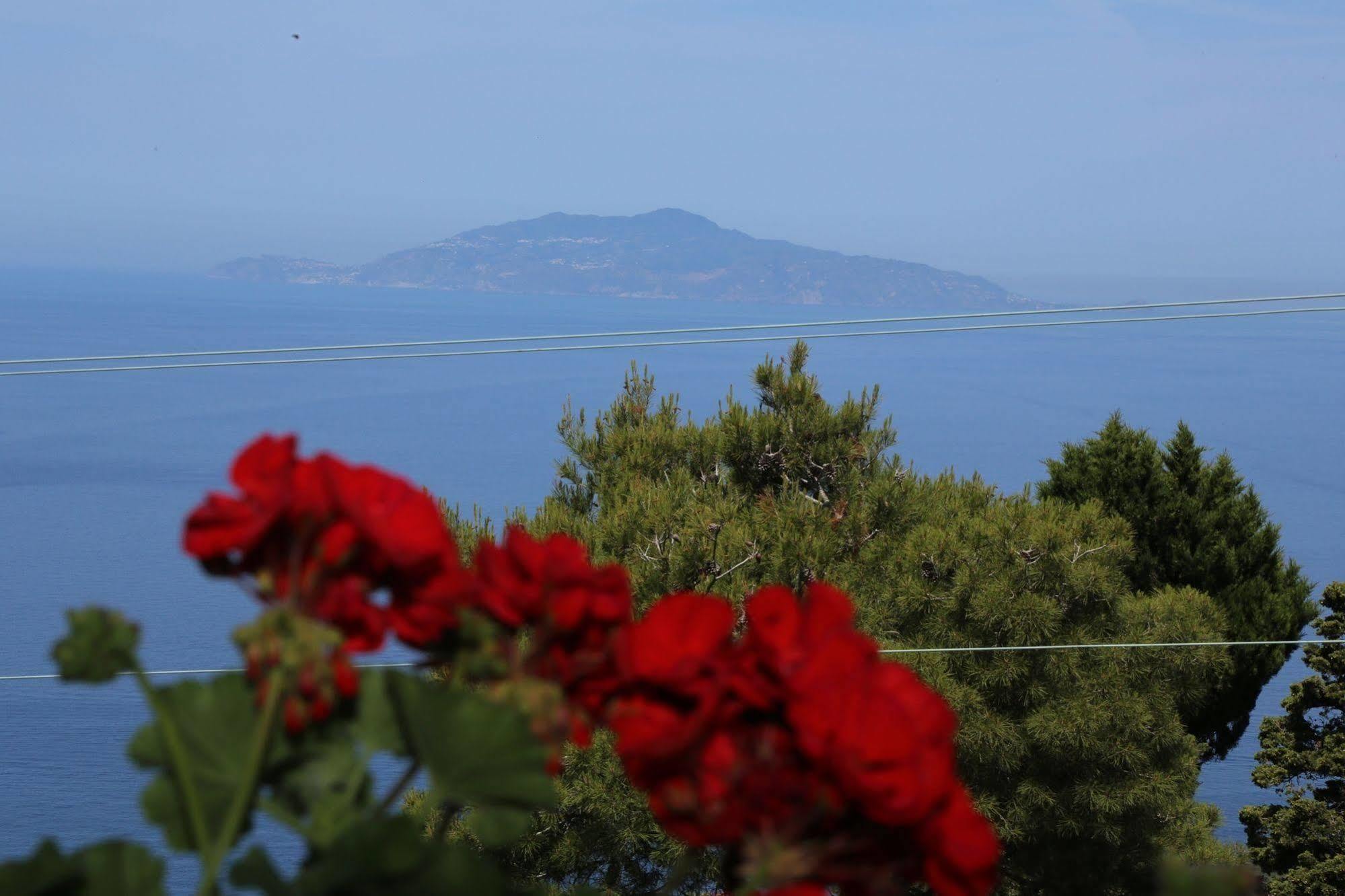 Le Ginestre Di Capri Bb & Holiday House Anacapri  Exterior foto